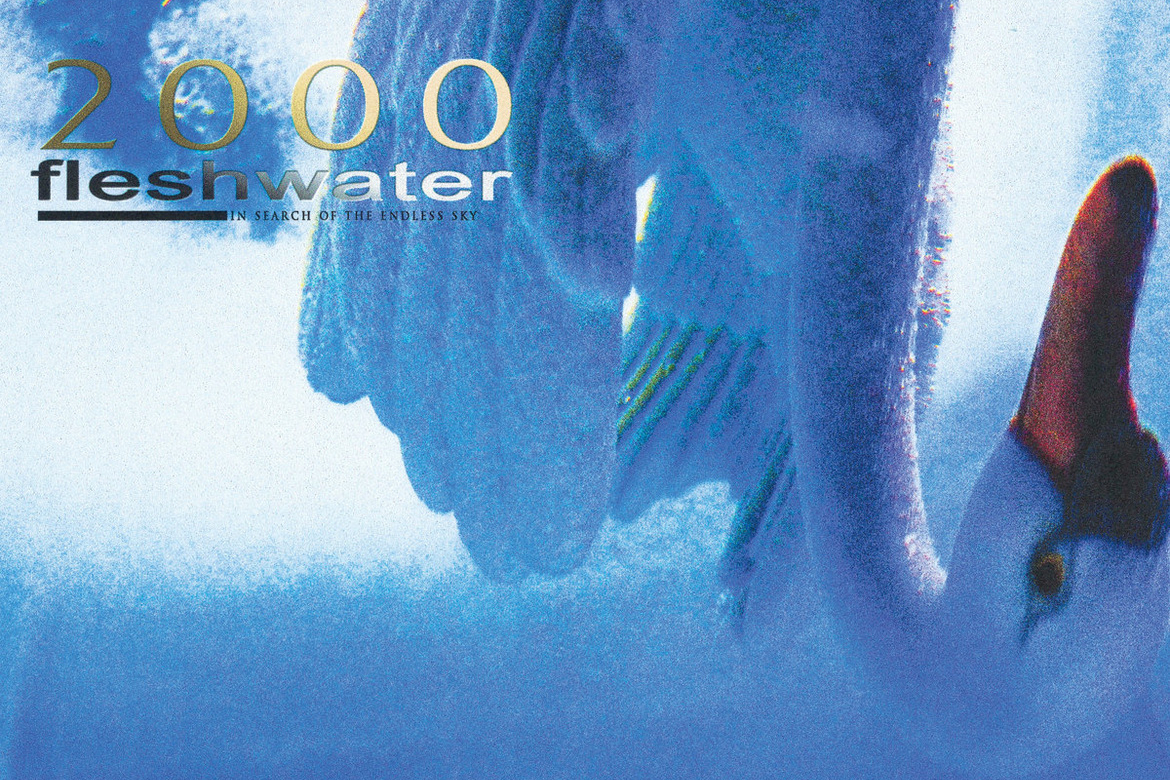 ALBUM REVIEW: Fleshwater - 2000: In Search of the Endless Sky