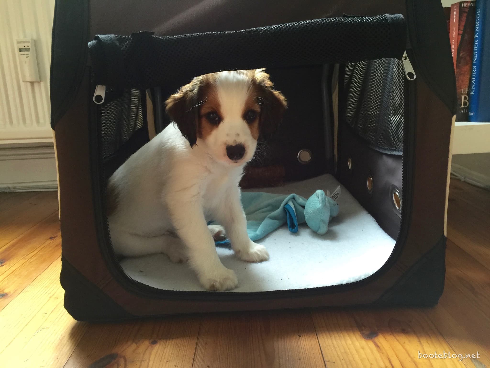 Treppenhilfe Hund Erfahrungen