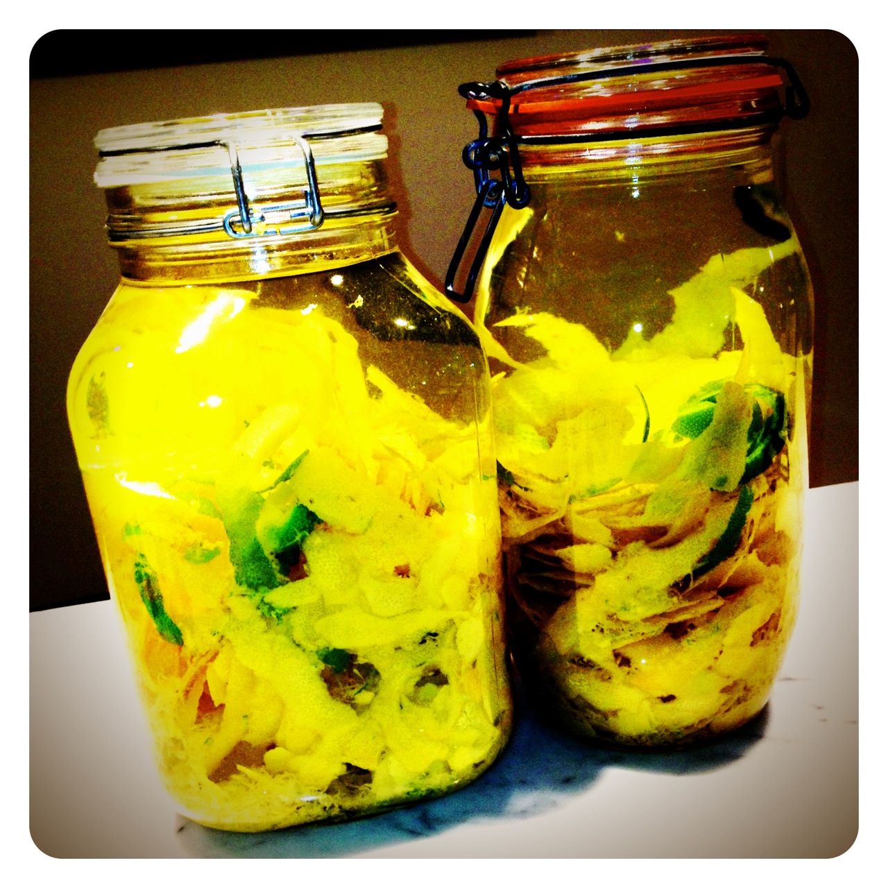 The peels from 40 lemons, limes, and oranges plus oodles of Everclear!