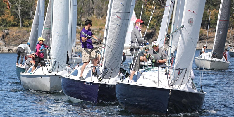 Martin 242 fleet sailing