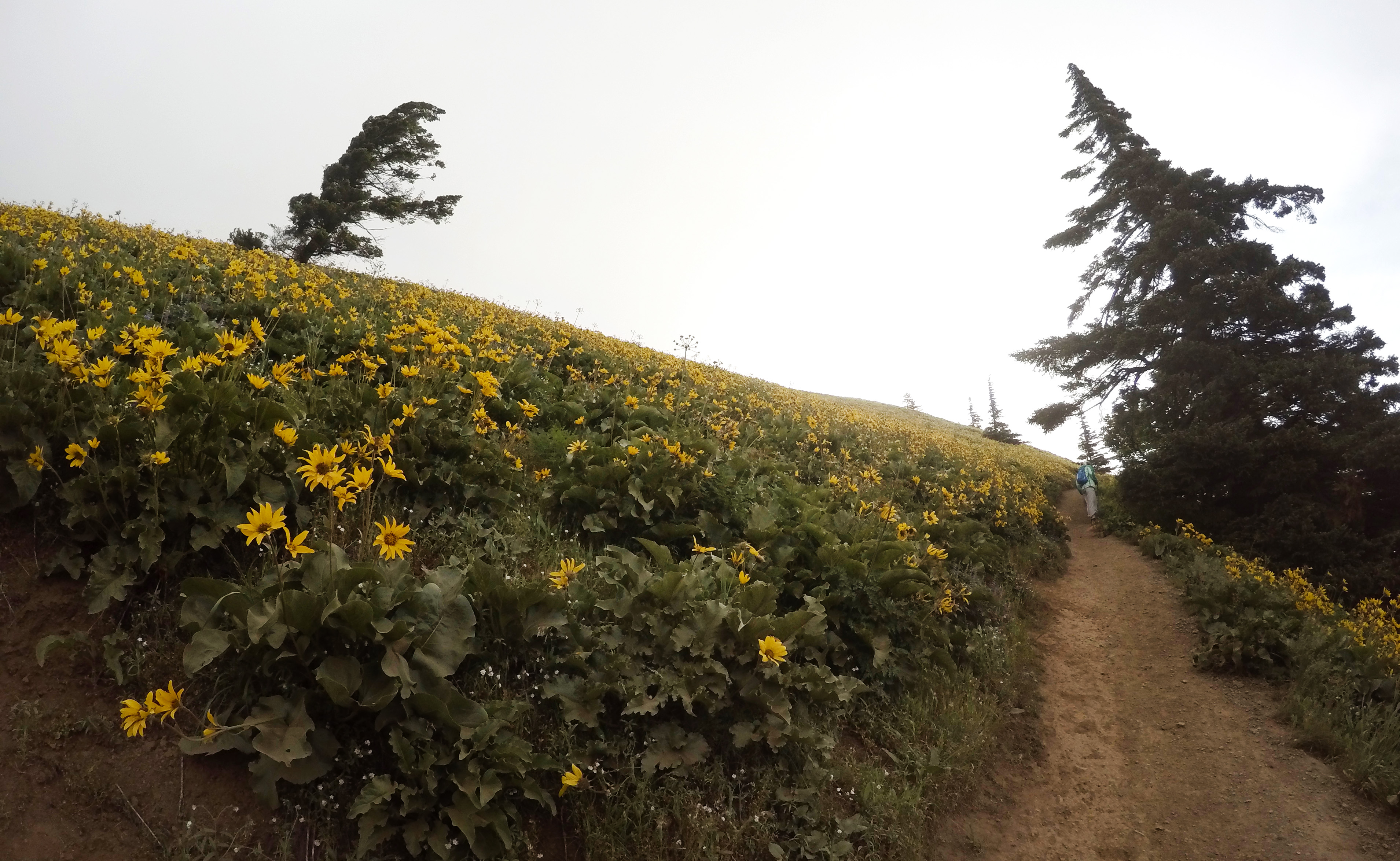 DCIM100GOPROGOPR2726.