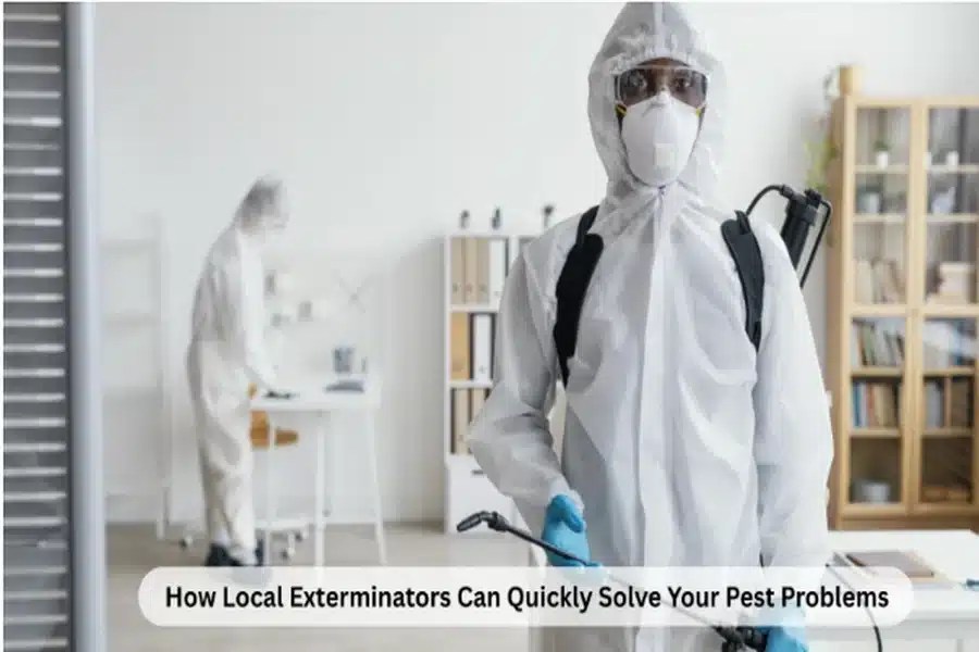 How local exterminators can quickly solve your pest problems