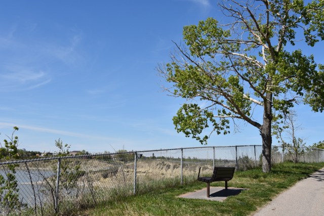 Lake view