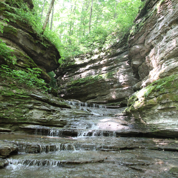 Walk the winding stairs: hike down cool tennessee creek like a