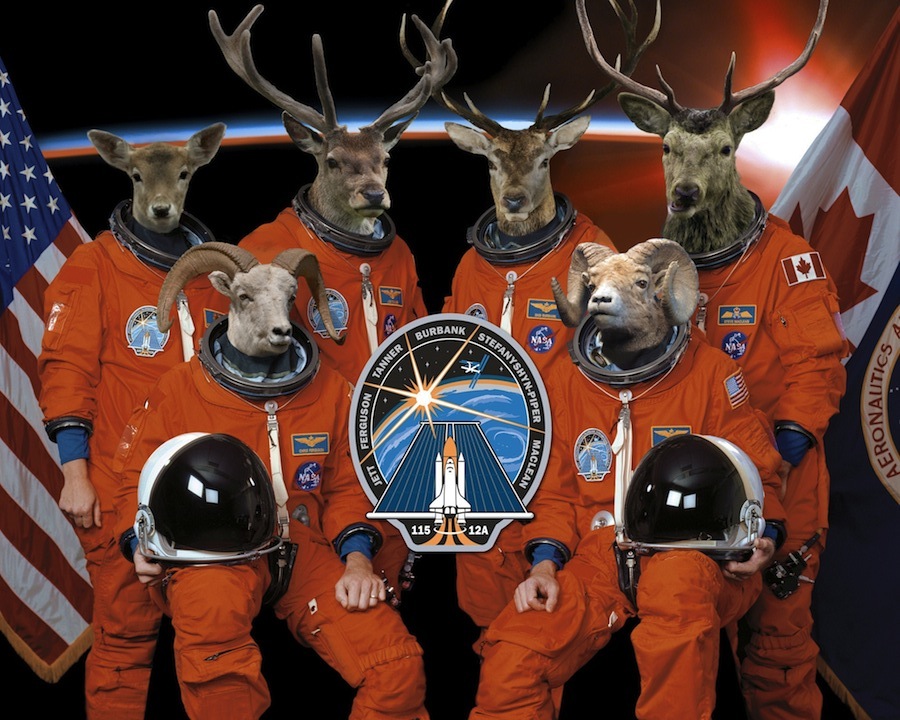 Crew of the Artemis