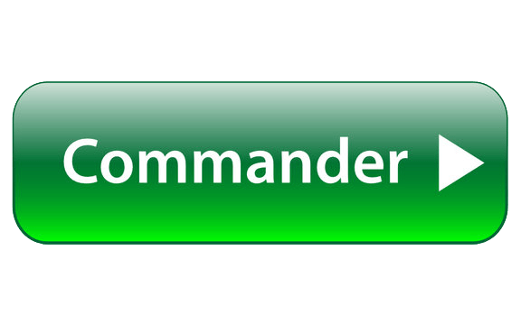 Commander COURS A VIE WEBMASTER WORDPRESS Boss Arts