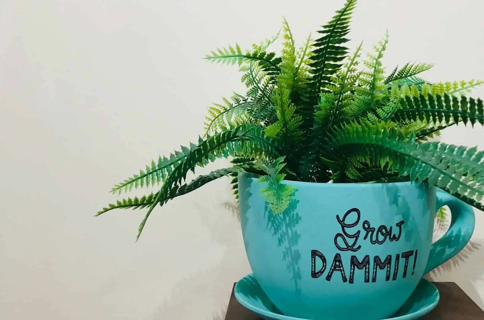 What Is Organic Growth Strategy! Unleash the Power of Organic Growth with Our "Grow Dammit!" Teal Planter. Picture this: A vibrant, luscious green fern thriving within a bold teal planter emblazoned with the motivating mantra, "Grow Dammit!" This striking piece doesn't just sit against a plain light-colored backdrop; it commands attention and embodies the essence of unstoppable organic growth strategy. Perfect for ambitious entrepreneurs and growth-driven individuals who demand excellence in both decor and mindset. Embrace your journey—it's time to grow, dammit! - Boss Uncaged™ OmniMedia Inc.