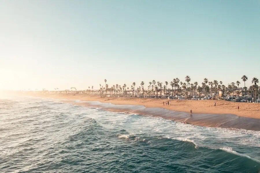 Experience the ultimate beach paradise—waves crash on sandy shores, palm trees sway, and people stroll under sunlit blue skies. - Boss Uncaged™ OmniMedia Inc.