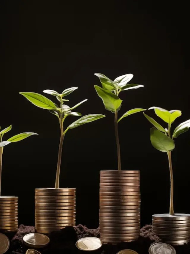Top 5 Profitable Crops with Low Investment (2025)