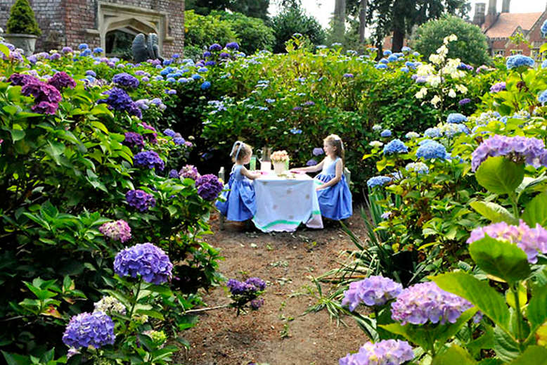 Copyright Thornewood's "Secret English Garden"