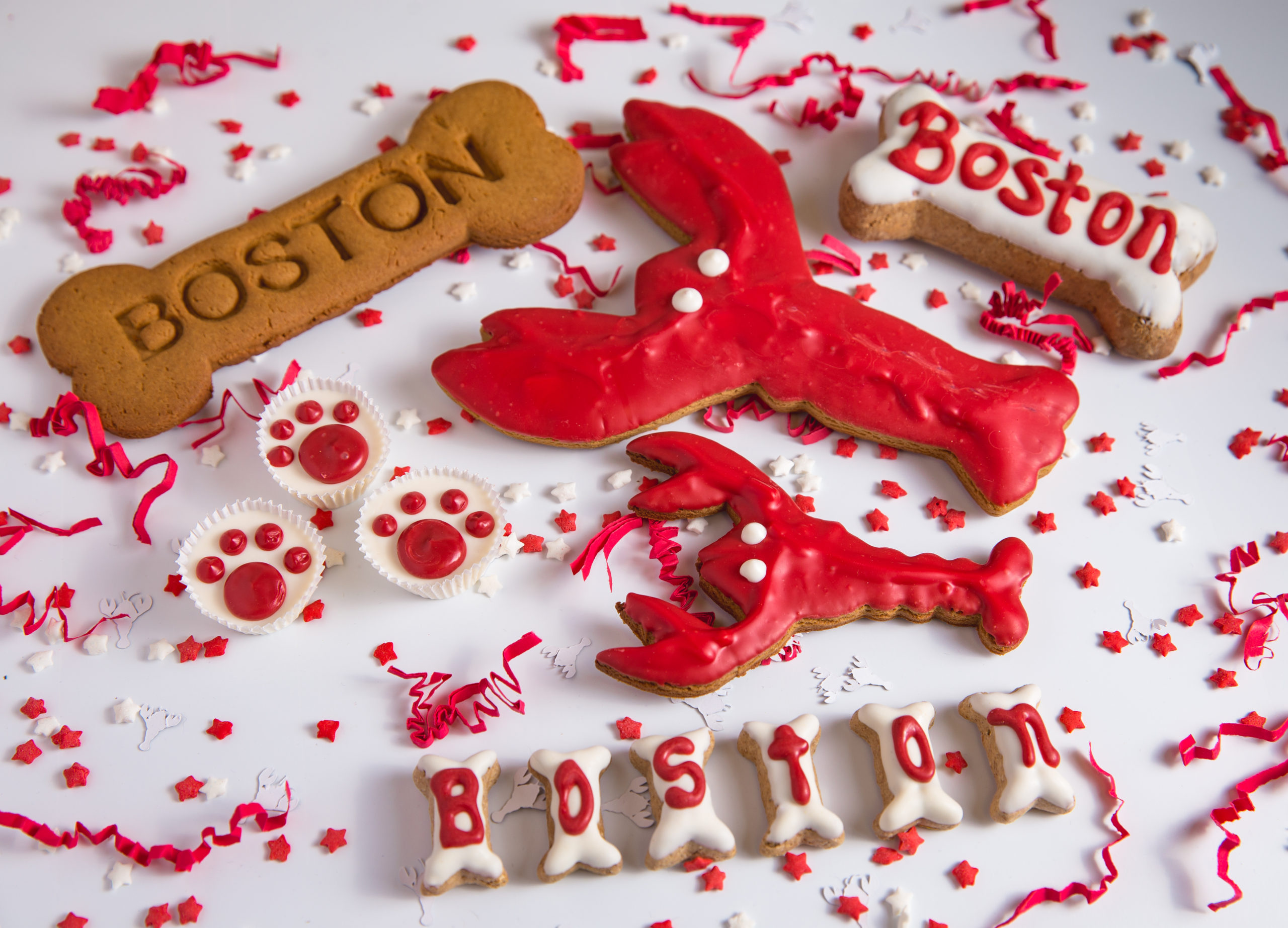 Boston Biscuit Box – Boston Barkery Dog Bakery