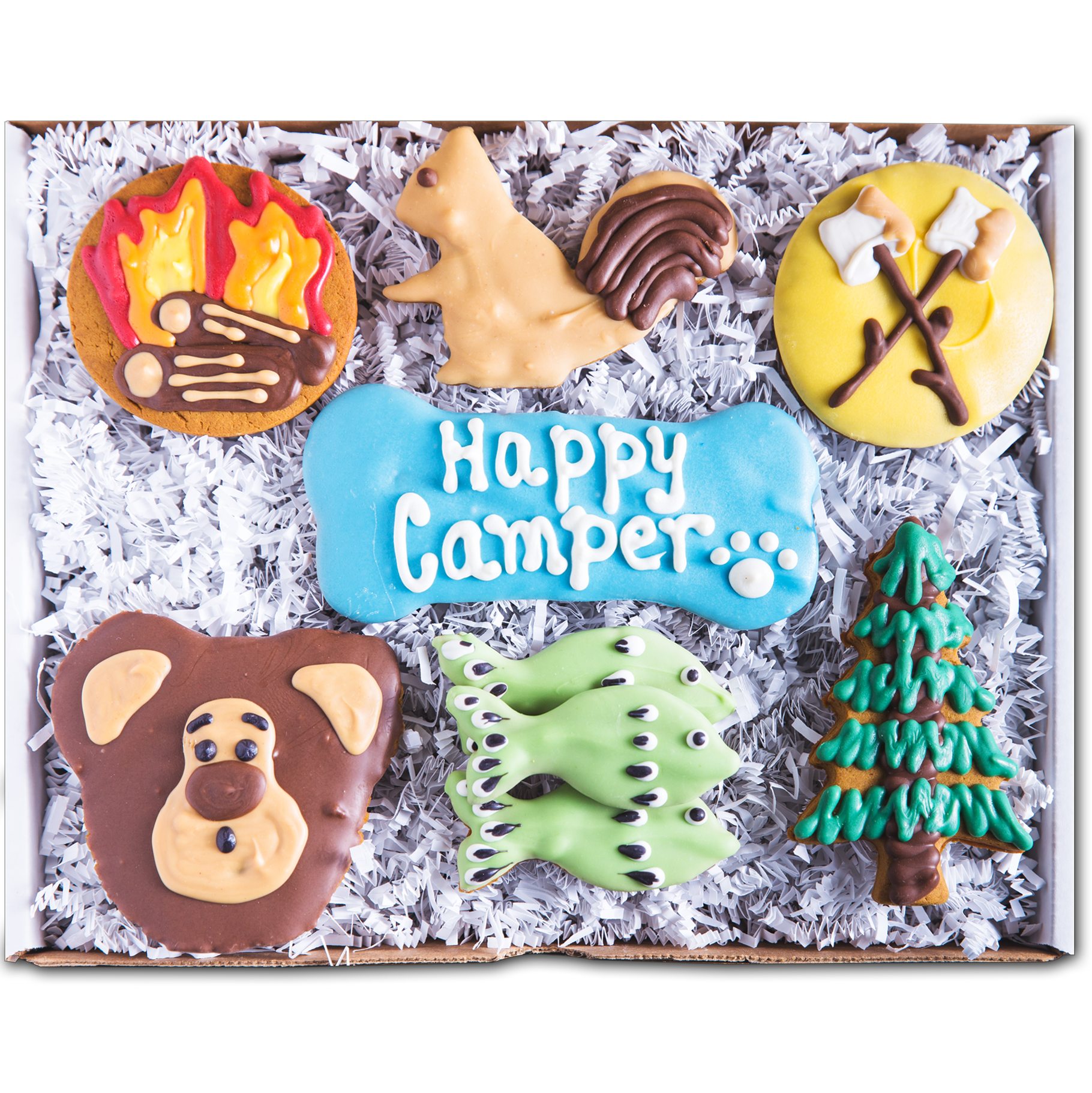 Adventure Biscuit Pack