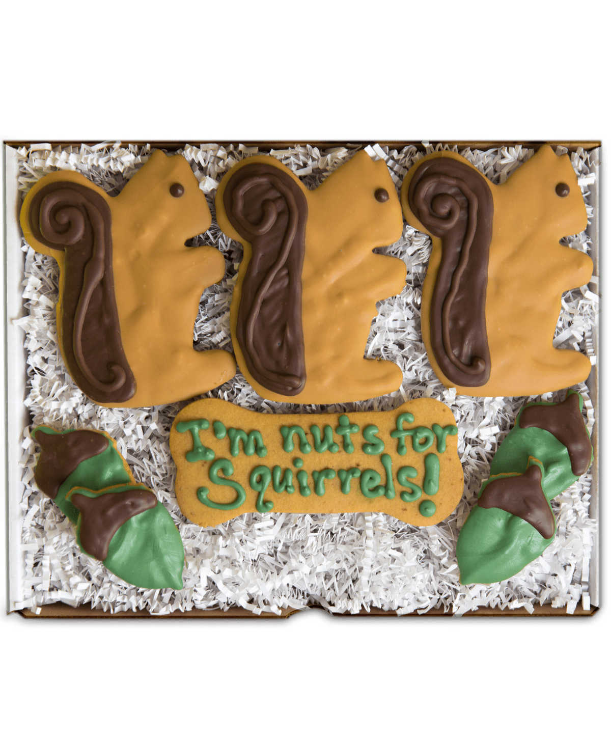 Nuts About Squirrels Biscuit Box