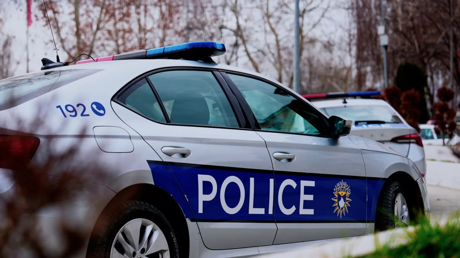 Një serb dhe një franceze u ndaluan nga Policia në Koshare