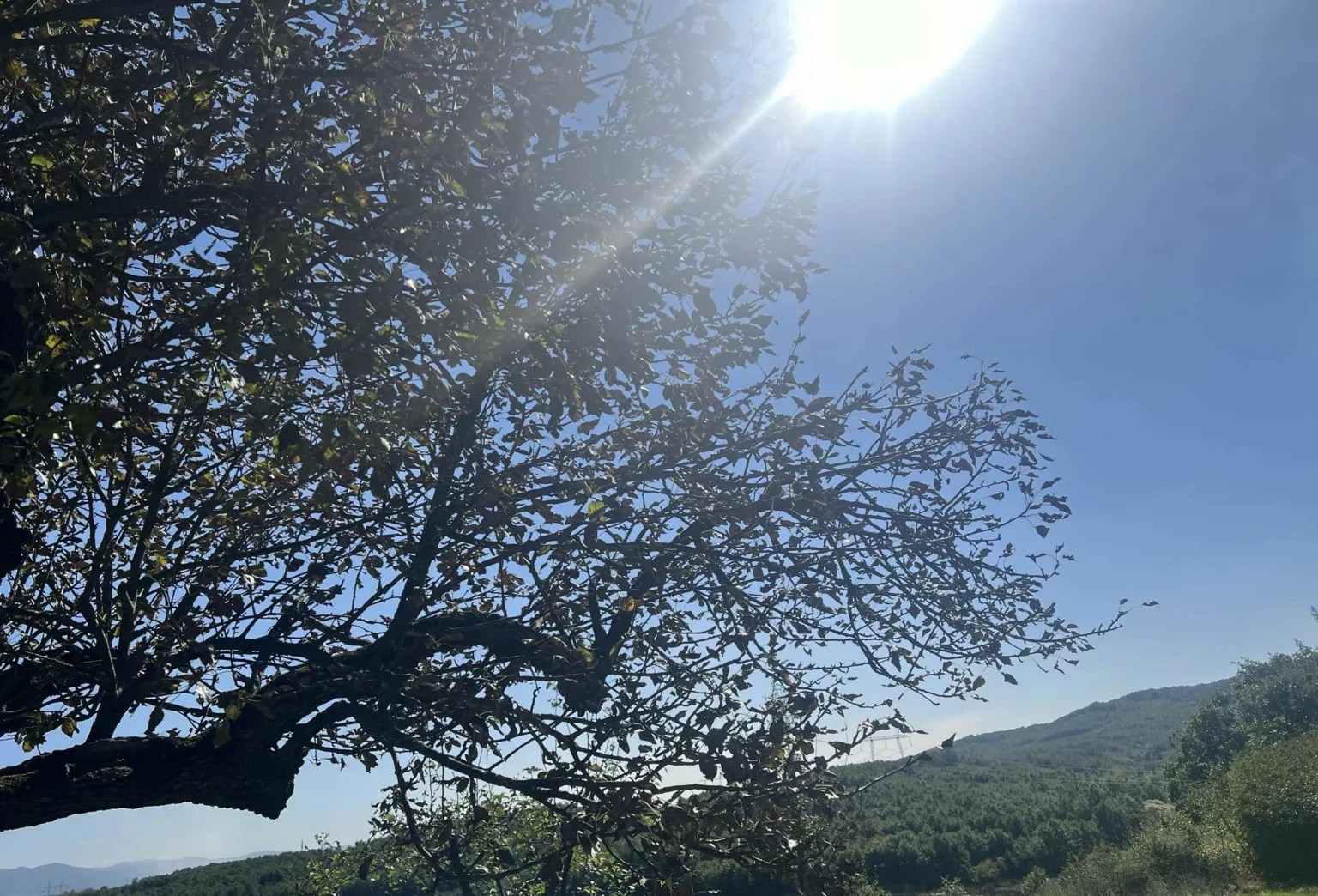 Moti për sot, temperaturat arrijnë deri në 23 shkallë