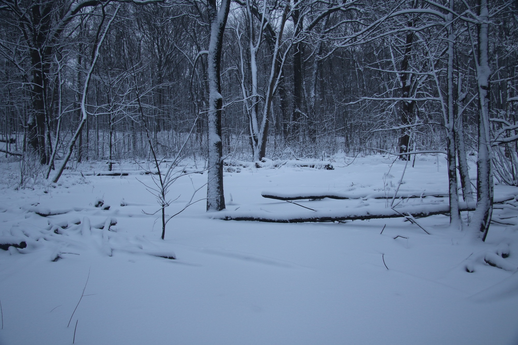 Mid-January return to winter