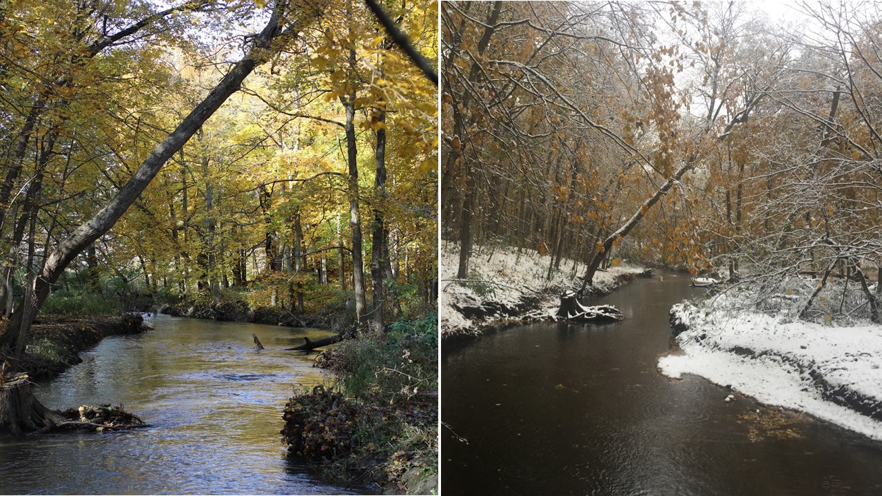 Pacing the transition to winter