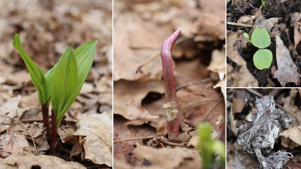 Passing from winter into winter again