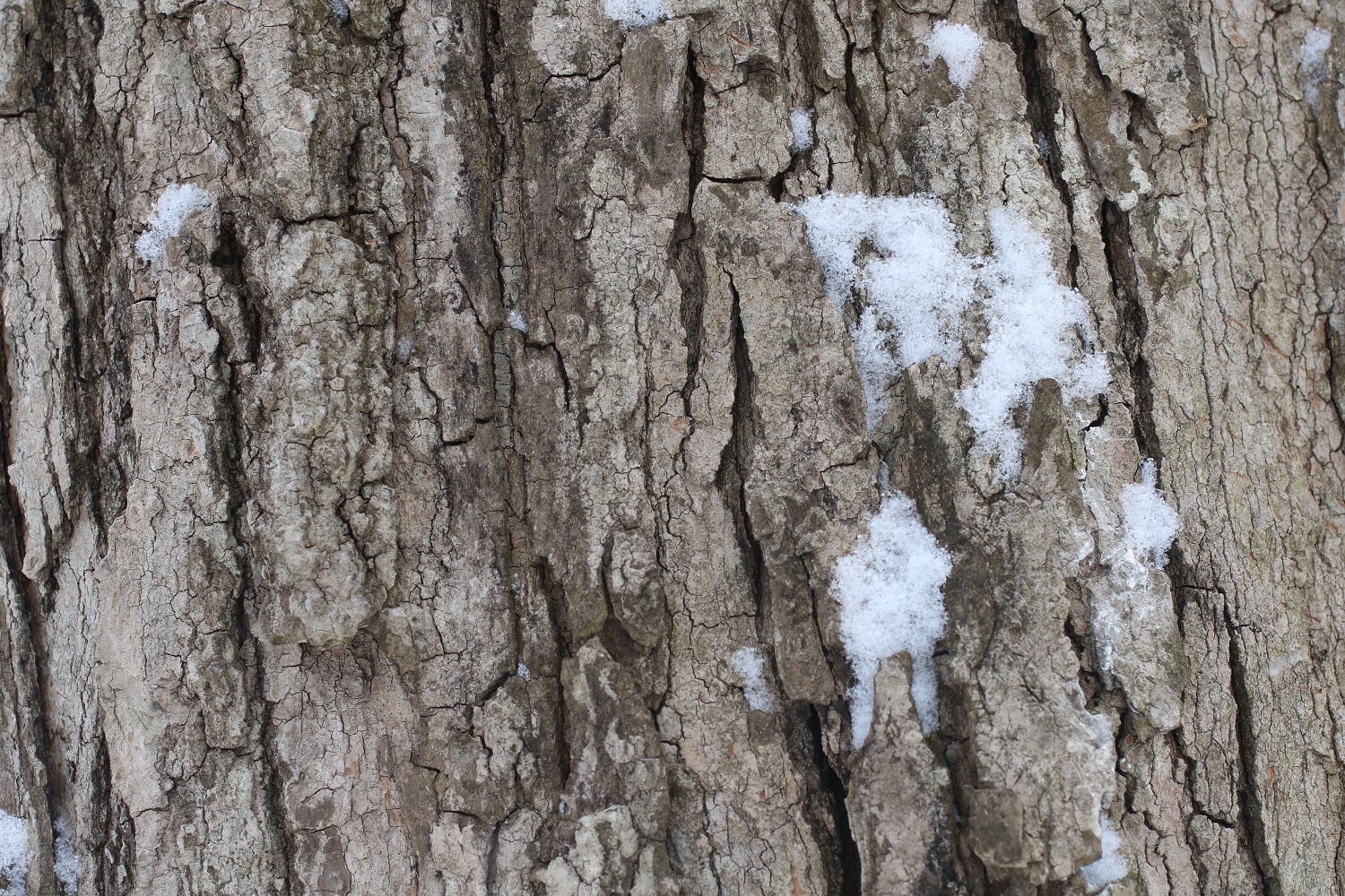 A short note from mid-February