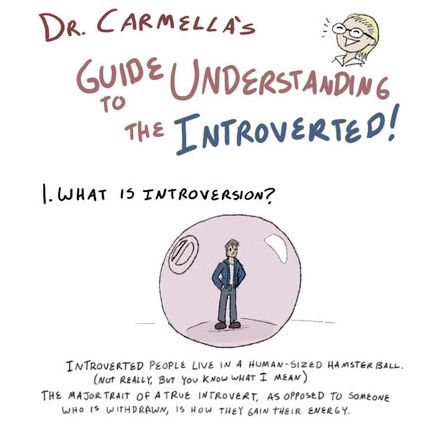 Dr Carmella S Guide To Understanding The Introverted Infographic - Incredible Mountain Background - Mobile