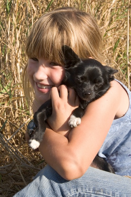 Dog and Cat Dental Problems - Bothell Pet Hospital
