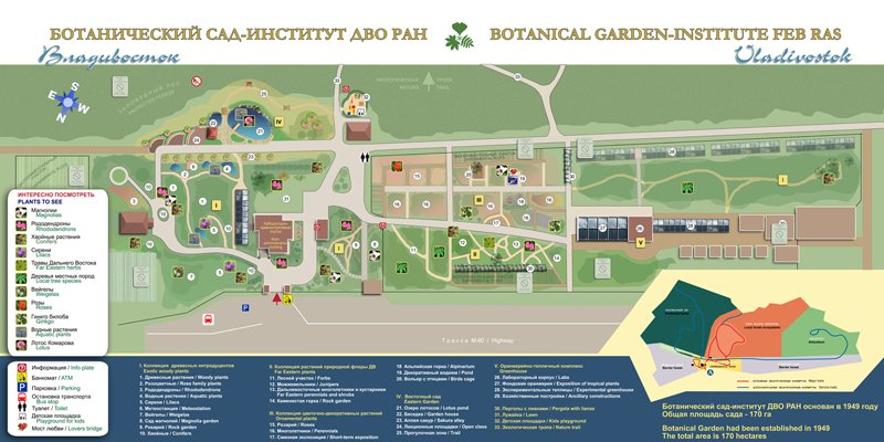 Оранжерейные комплексы занимают около 2000 кв. Karta Sada