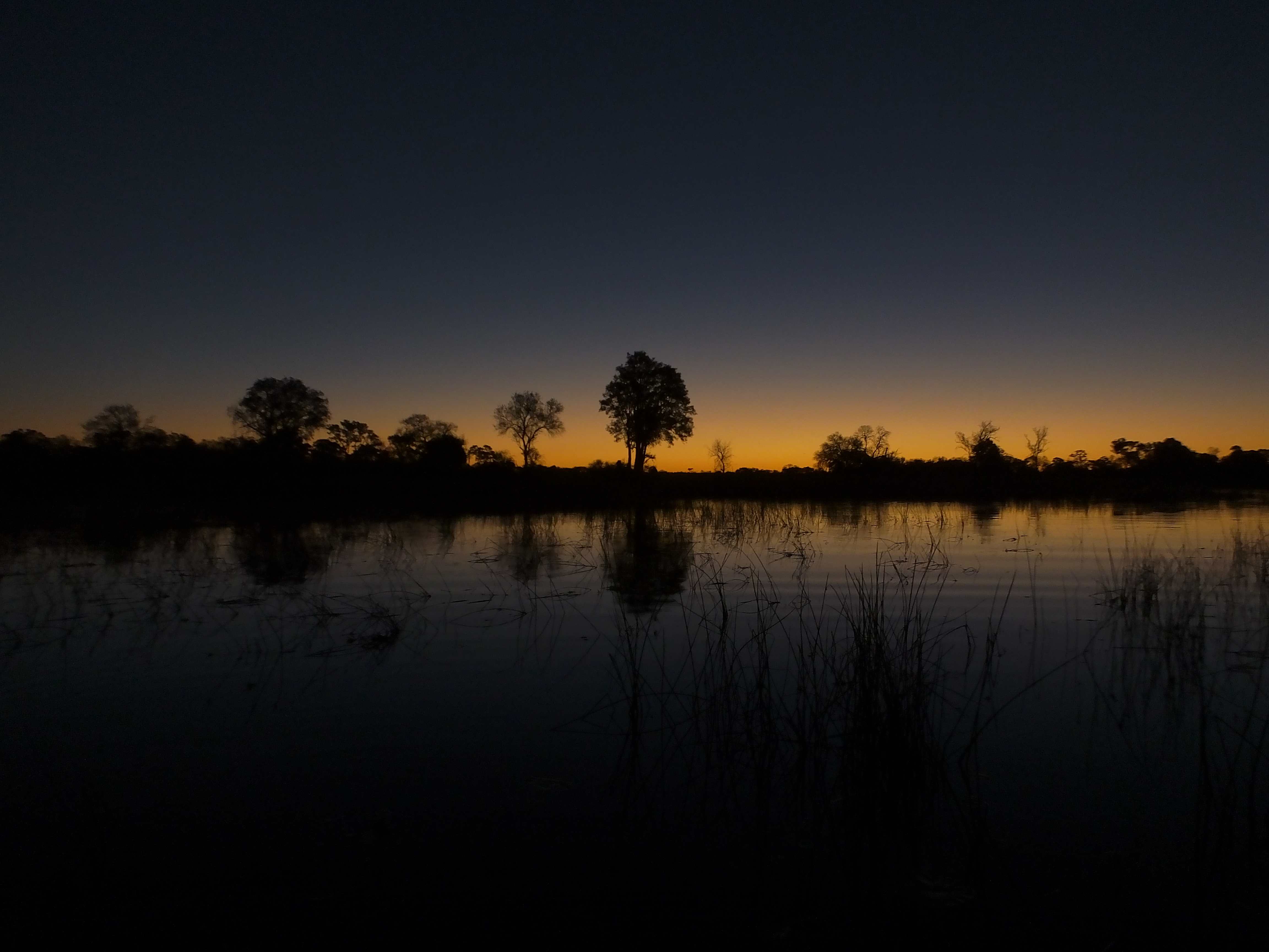 Why Train With Us Botswana Trails
