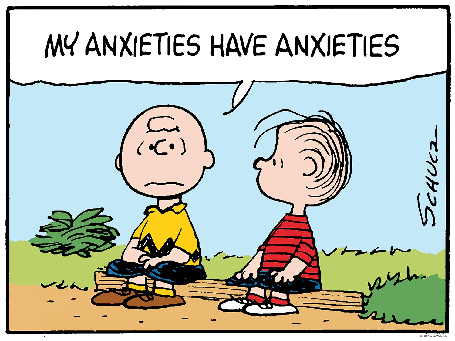 Charles M Schulz My Anxieties Have Anxieties Color Edition