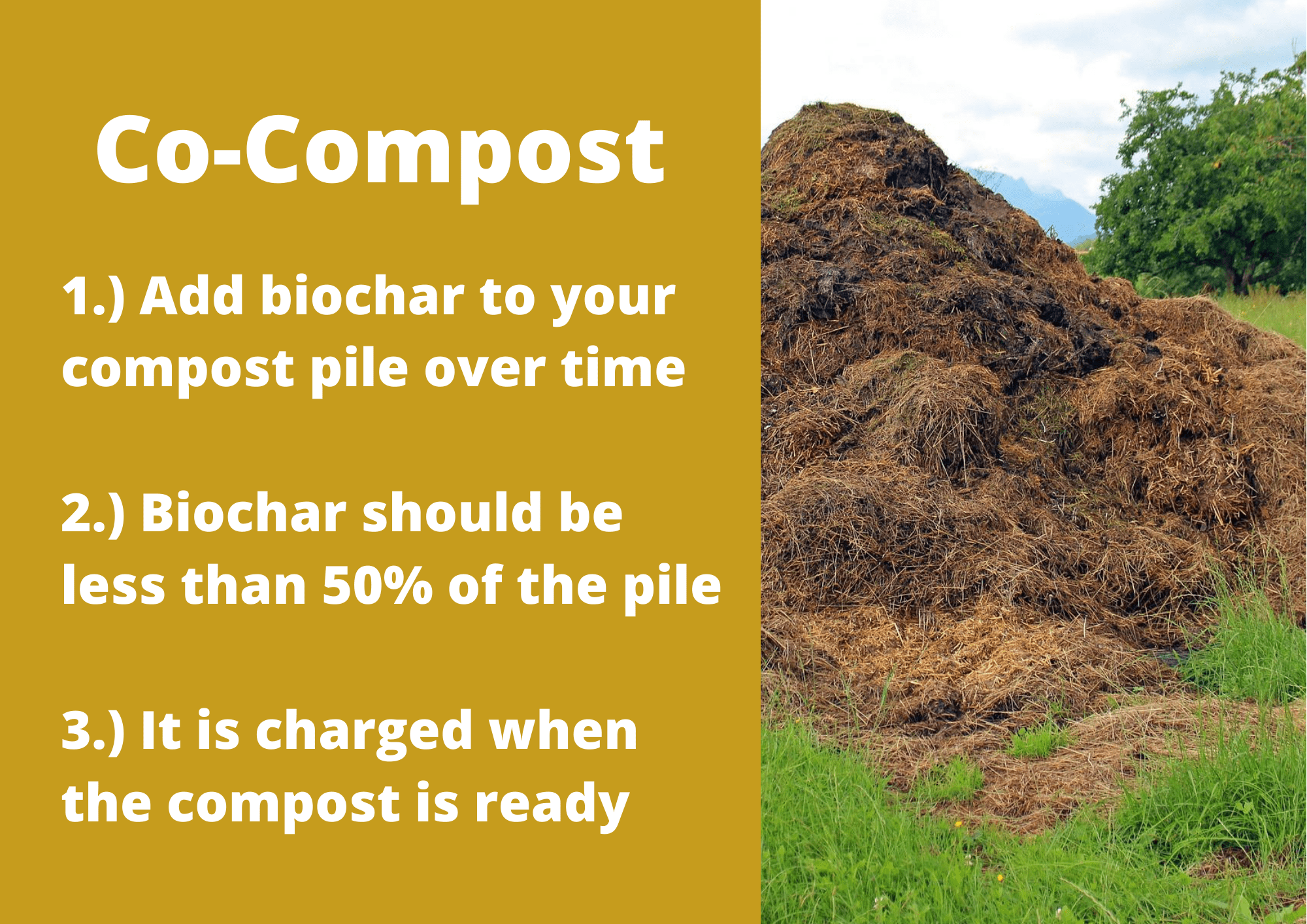 This is a graphic that explain how to charge biochar by co-compost. On the right side there is a picture of compost. On the left side are three steps that descripe how to charge biochar by co-compost. First, add biochar to your compost pile over time. Second, biochar should be less than 50% of the pile. Third the biochar is charged when the compost is ready.