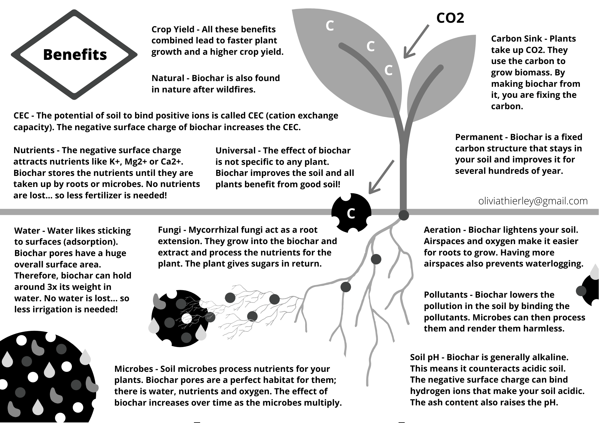 This picture shows the fourth page of the practical biochar guide. It explains the benefits of biochar.