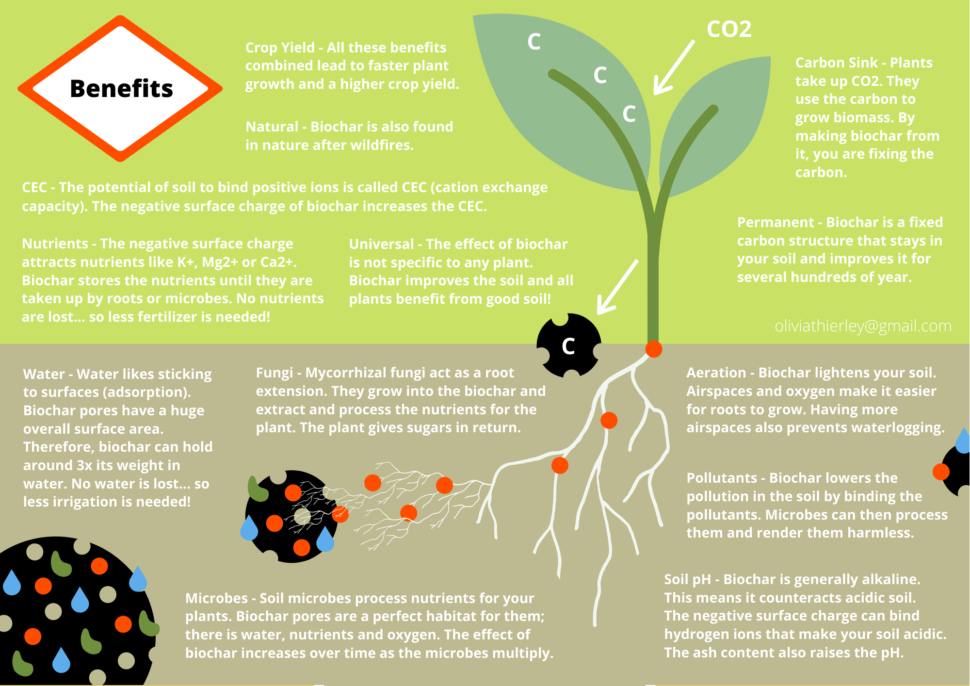 This picture shows the fourth page of the practical biochar guide. It explains the benefits of biochar.
