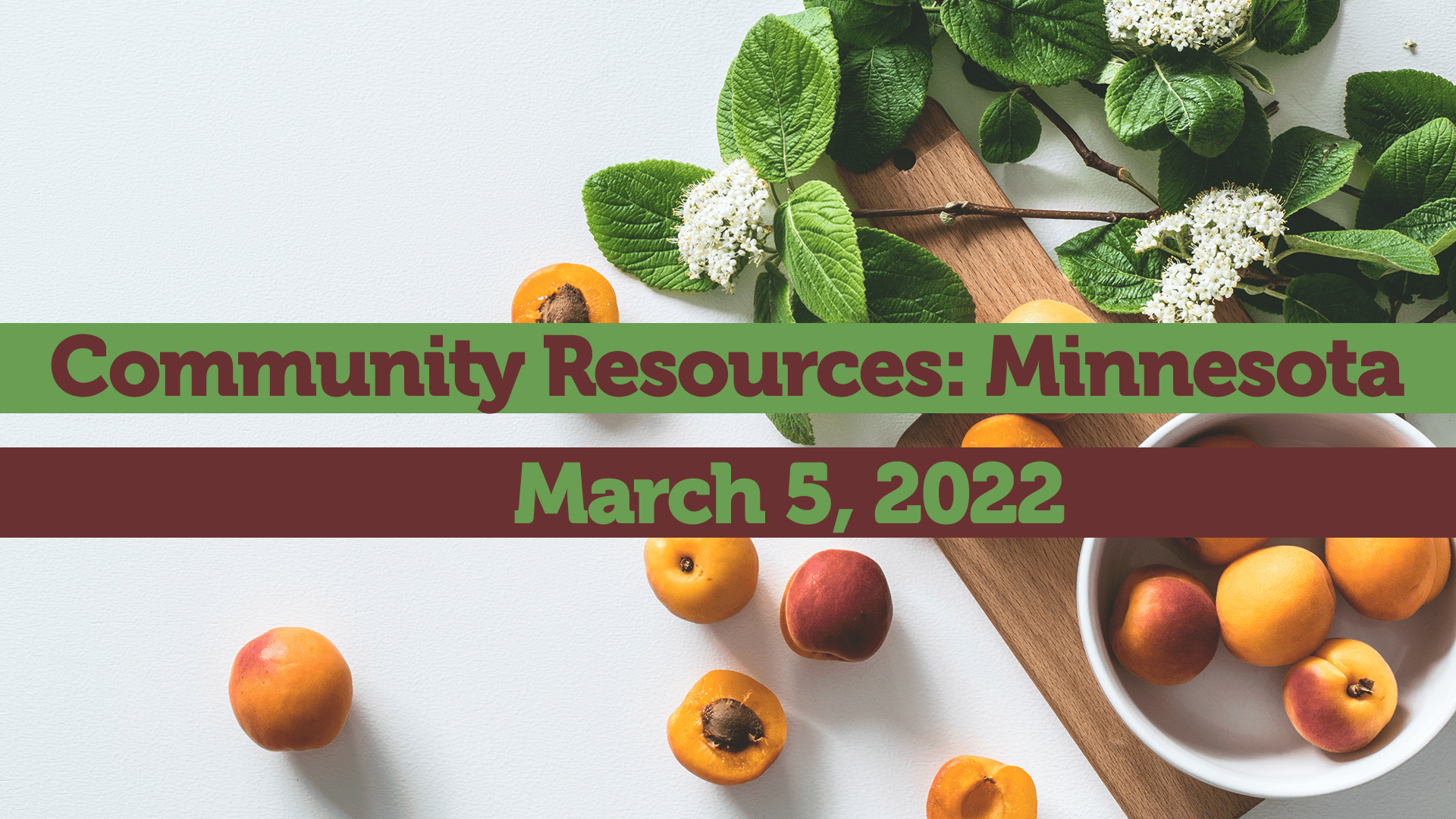 Community Resources Minnesota March 5th, 2022