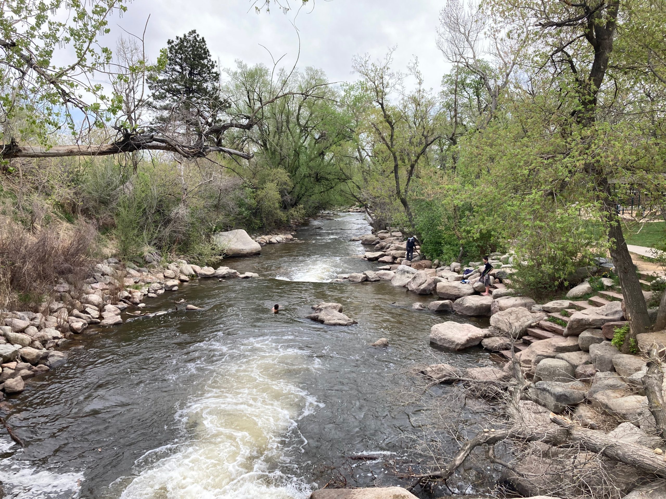 Woman rescued unconscious from Boulder Creek after tragic drowning