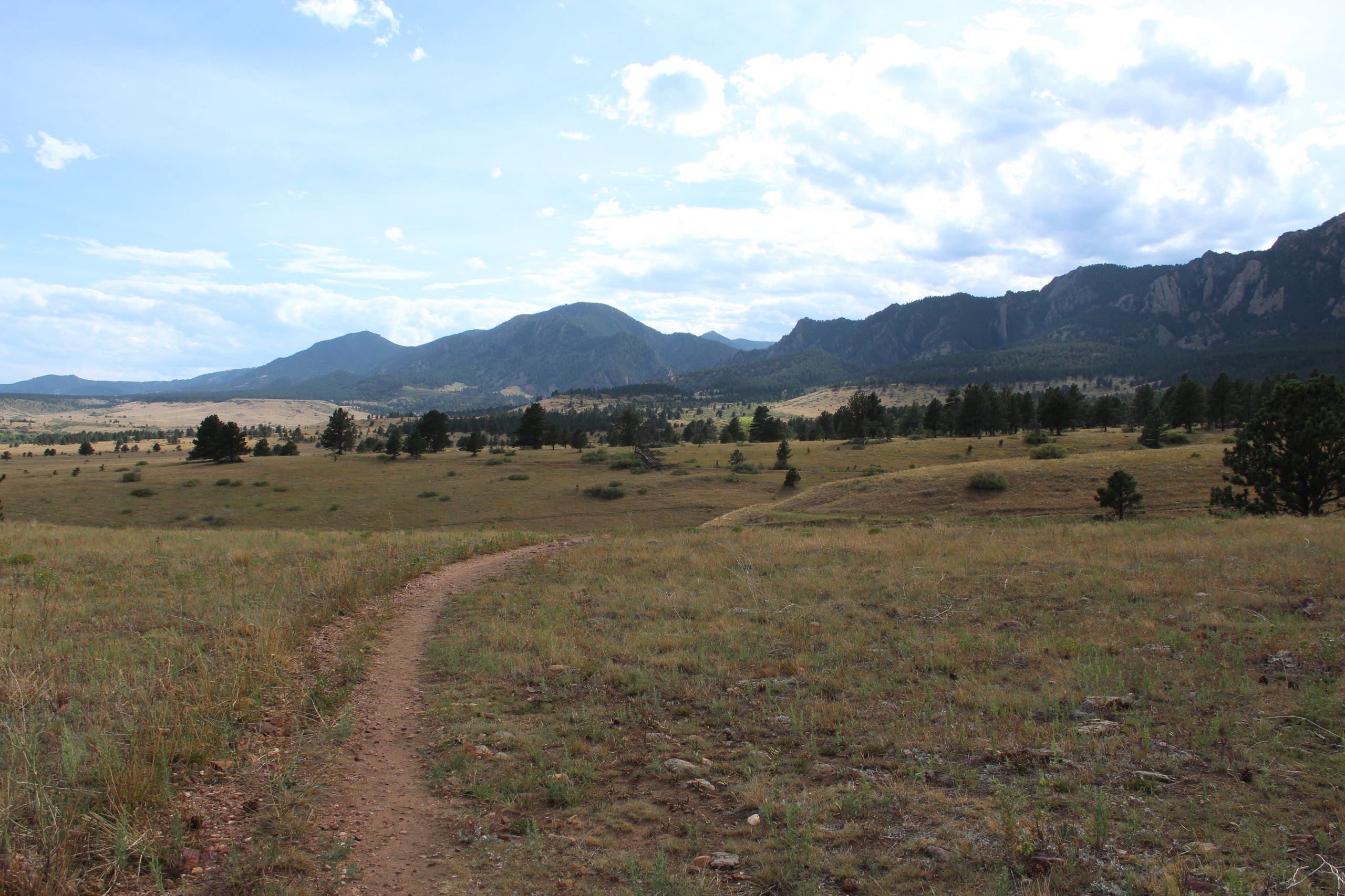 The Greenbriar trail, where the potential trail connection would begin. Credit: Brooke Stephenson