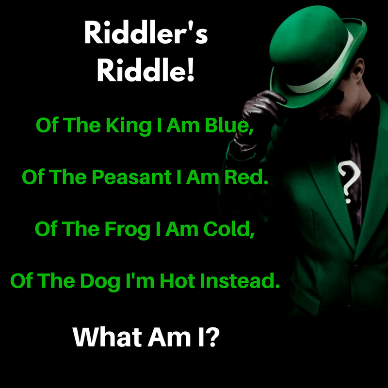 What kind of dog keeps the best time? The Riddler's Riddle: Of The King I Am Blue, Of The Peasant I Am Red... - Bounding Into Comics