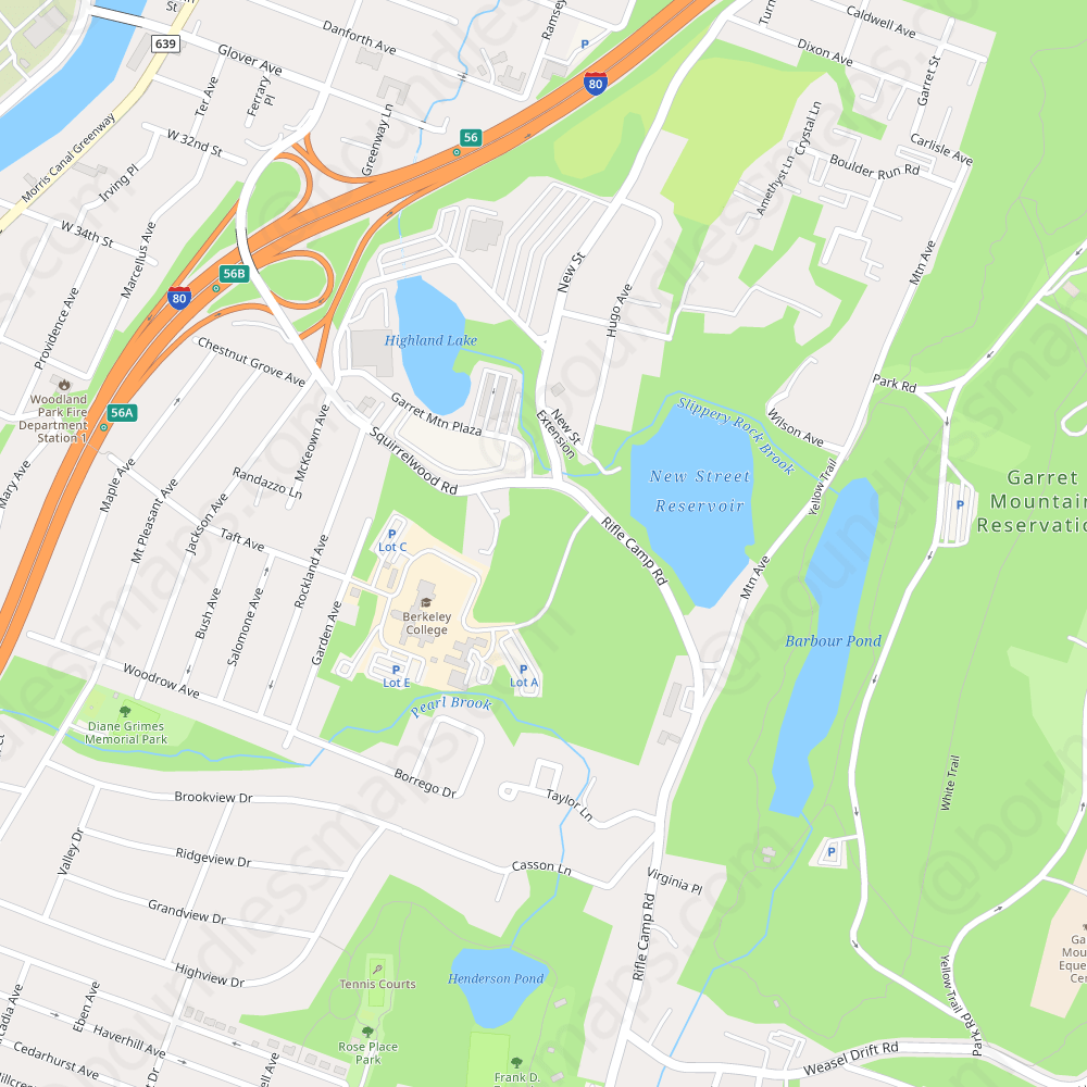 Paterson Map Paterson 10000 Sma 8102e9 Preview 4 