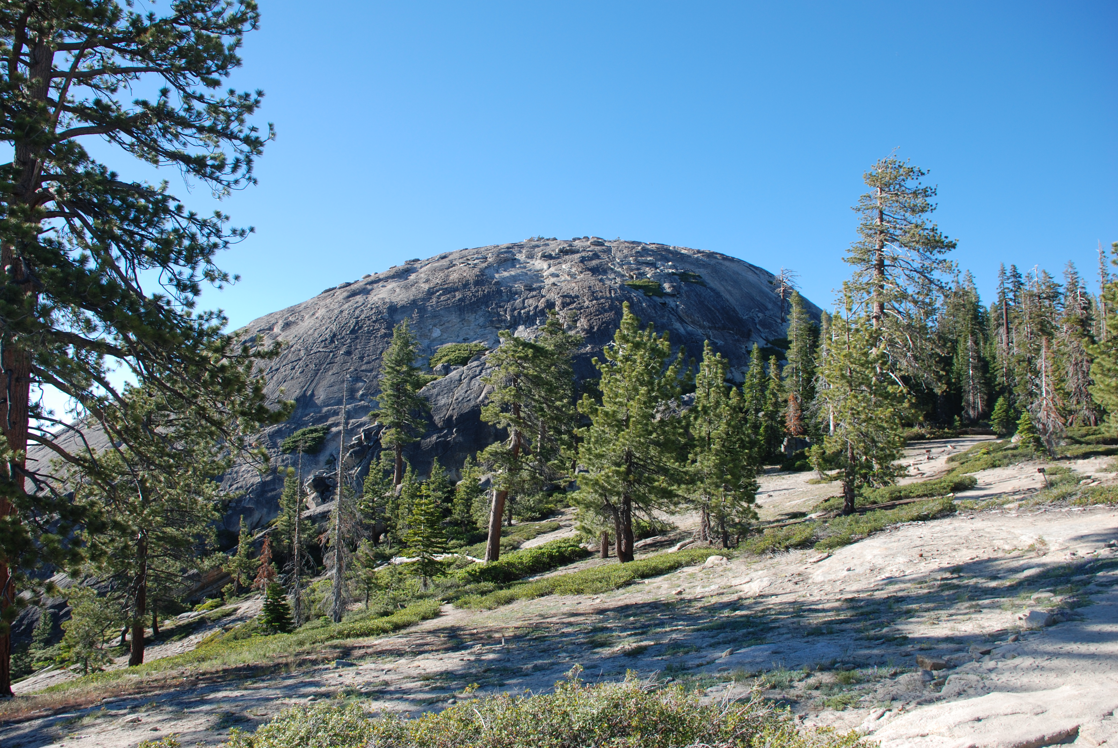 Sentinel_Dome_from_Trail_0615