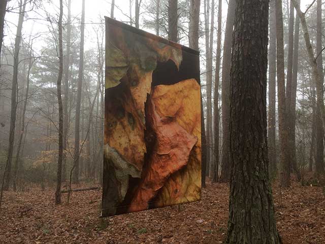 Degas Banner in Fog