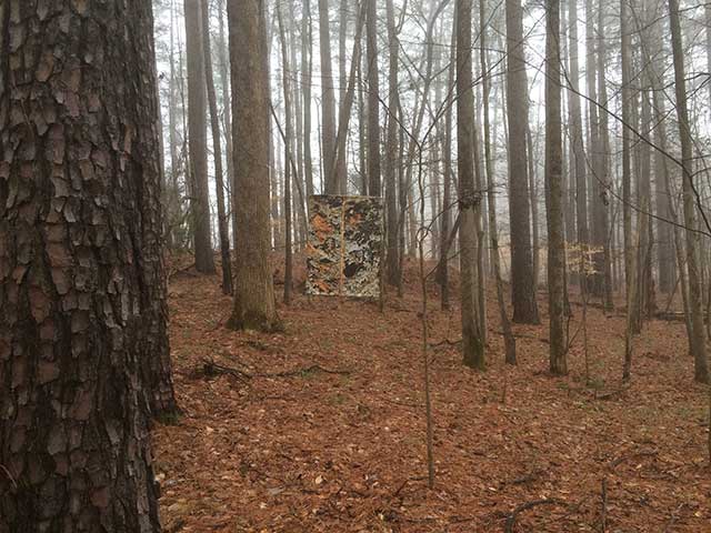 Leaf after Johns banner in fog