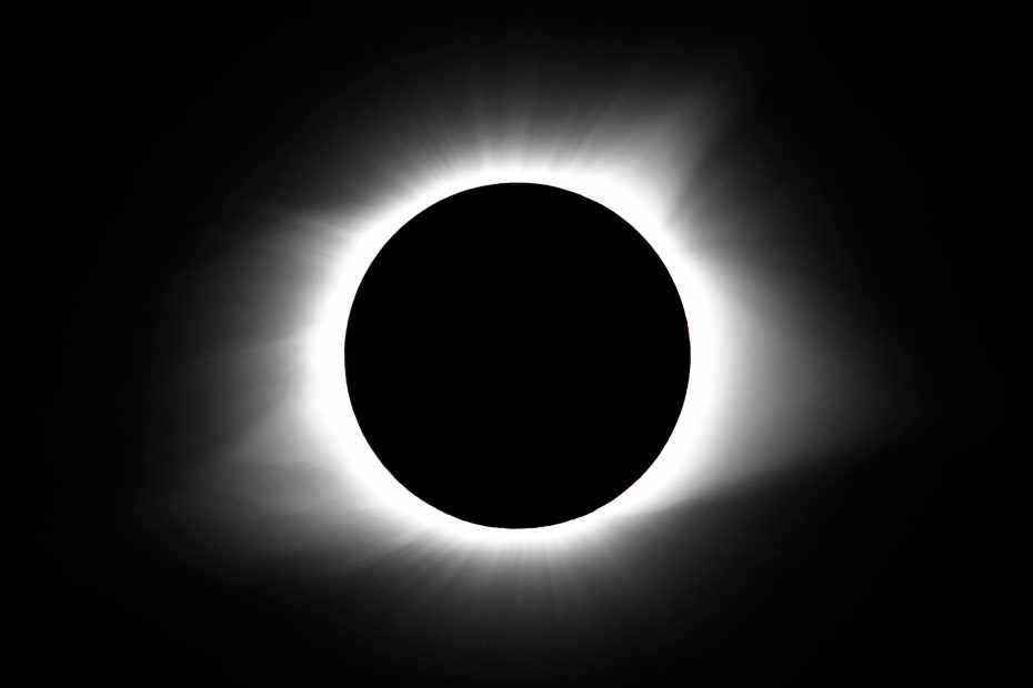TINCUP Whiskey Solar Eclipse Experience: A Unique Toast