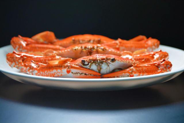 Mouth-watering steamed crabs beautifully plated, emphasizing their bright color and exquisite taste.
