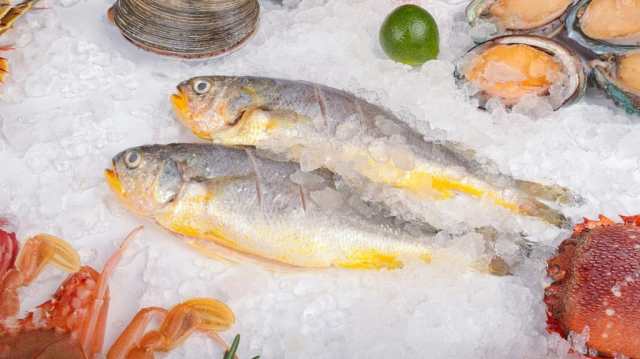 Seafood (Fresh and Frozen)