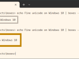 Windows Unicode Configuration Boxes
