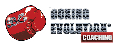 The Theory Behind Boxing Evolution Boxing Evolution - Best Gradient Illustrations in HD