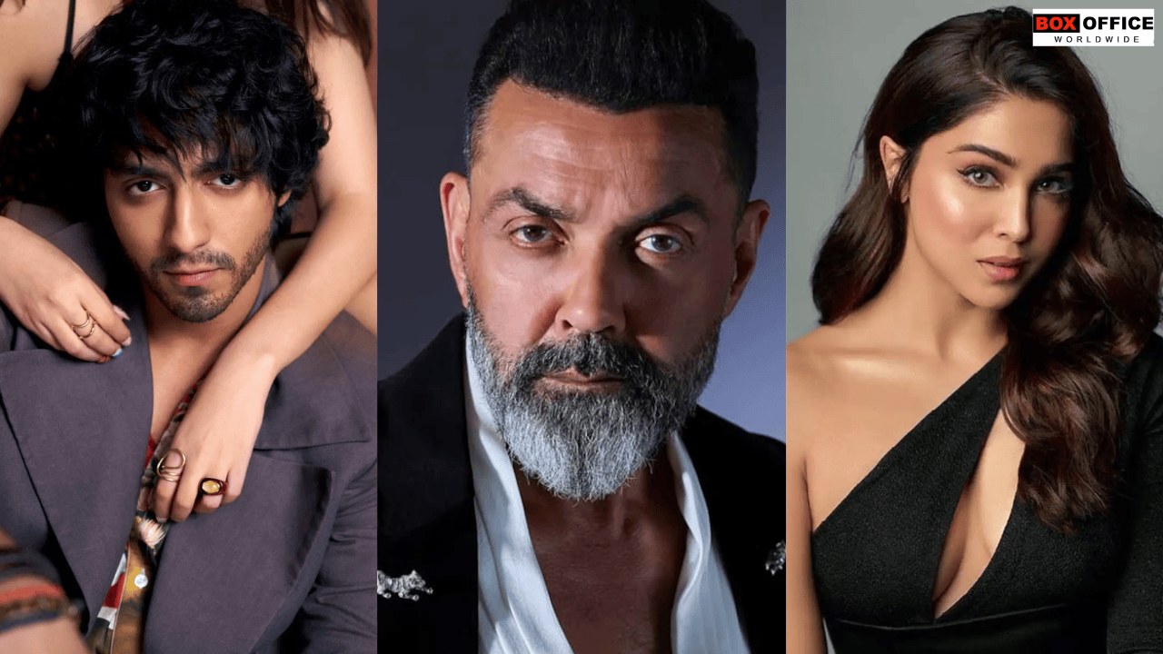 latest news, Hindi box office news, Hollywood news, OTT news, latest Bollywood news and latest box office news.