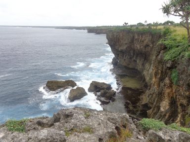 DSC00570