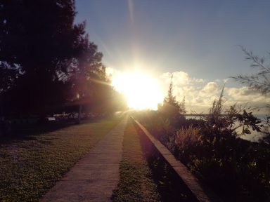 DSC00641