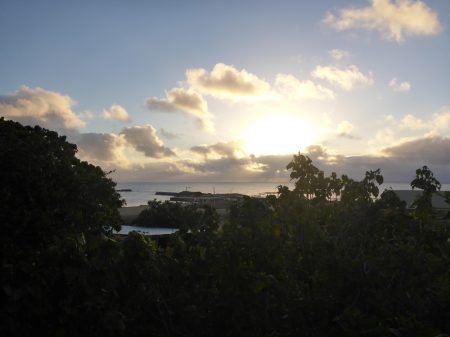 view2