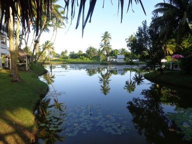 DSC01016