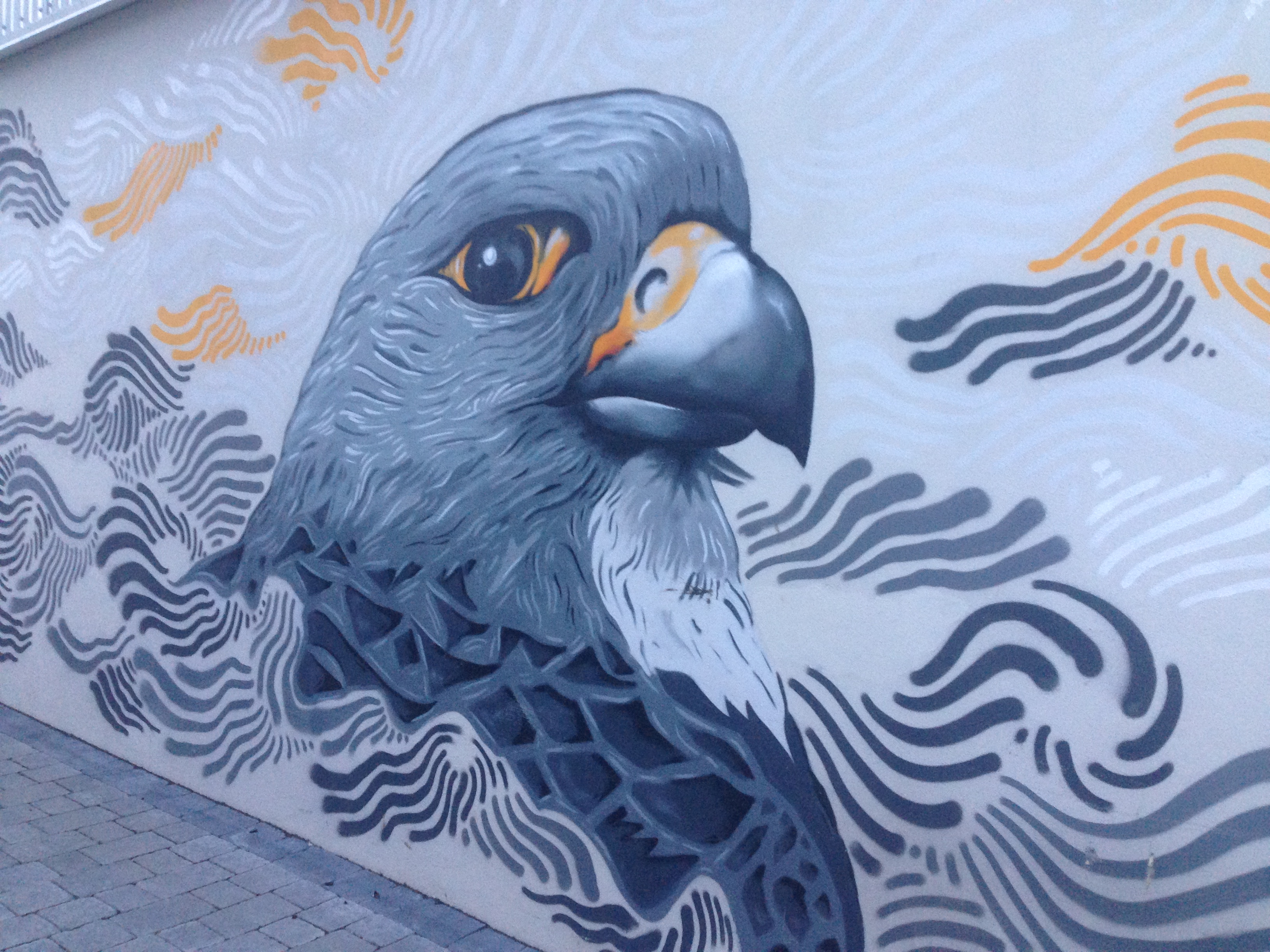 Street Art & Odd Images in downtown Reykjavik Iceland